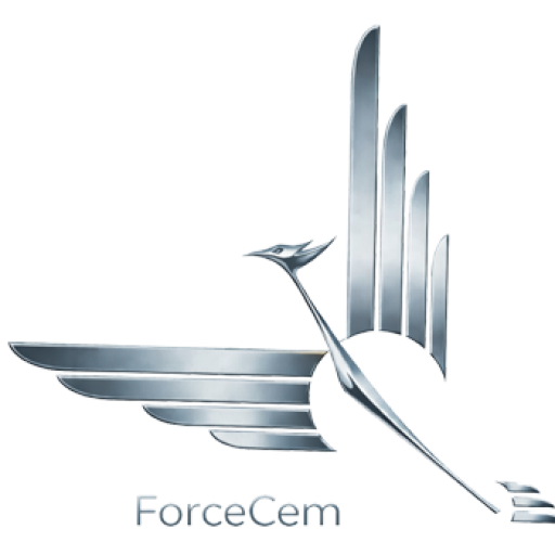 ForceCem